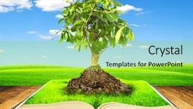  Presentation with growing tree - PPT theme with collage education - tree growing from a book background and a yellow colored foreground