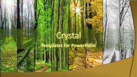  Presentation with summer winter autumn spring - Beautiful theme featuring collage forest season backgrounds winter backdrop and a tawny brown colored foreground