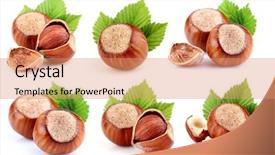  Presentation with dried food - Cool new presentation with collage from dried filbert backdrop and a coral colored foreground