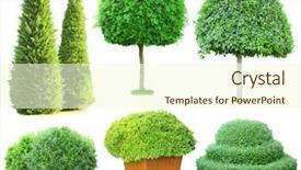 Presentation with tree sky trees green - Beautiful presentation featuring collage green trees and bushes backdrop and a cream colored foreground