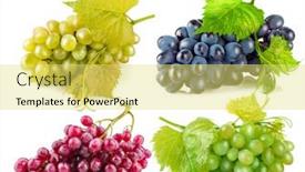  Presentation with collage - Cool new slides with collage-mix-set-of-cluster backdrop and a yellow colored foreground