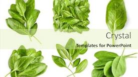  Presentation with healthy eating - Audience pleasing presentation theme consisting of collage-mix-set-of-spinach backdrop and a soft green colored foreground