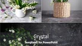  Presentation with flower - Slide deck having collage-mix-set-of-spring background and a dark gray colored foreground