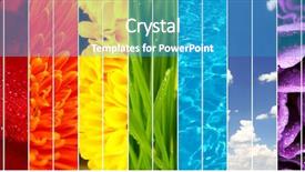  Presentation with coral reefs blue water beautiful sky - Amazing presentation theme having collage of beautiful flowers grass backdrop and a teal colored foreground