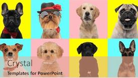  Presentation with pink blue - Presentation design with collage-of-different-types background and a coral colored foreground