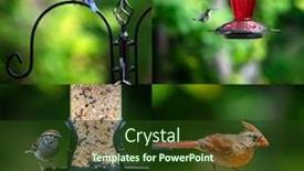  Presentation with american - Slide set having collage-of-four-beautiful-american background and a tawny brown colored foreground