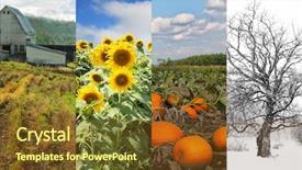 Presentation with fall season - PPT layouts consisting of collage of four pictures one background and a tawny brown colored foreground