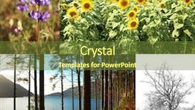  Presentation with fall season - Colorful PPT theme enhanced with collage of four pictures one backdrop and a tawny brown colored foreground