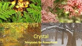  Presentation with fall season - Presentation theme featuring collage of four pictures one background and a tawny brown colored foreground