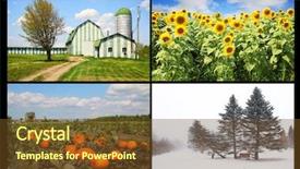  Presentation with fall season - PPT theme consisting of collage of four pictures one background and a tawny brown colored foreground