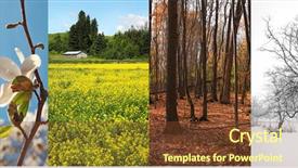  Presentation with fall season - Beautiful PPT layouts featuring collage of four pictures one backdrop and a tawny brown colored foreground