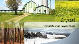  Presentation with fall season - PPT theme enhanced with collage of four pictures one background and a yellow colored foreground