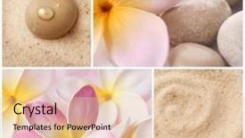  Presentation with frangipani flowers - Amazing presentation theme having collage of frangipani flowers and zen spa stones backdrop and a lemonade colored foreground