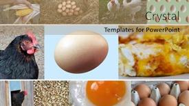  Presentation with photo collage - Beautiful slide set featuring collage-of-fresh-and-cooked backdrop and a coral colored foreground