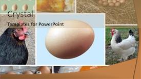  Presentation with photo collage - Colorful slide deck enhanced with collage-of-fresh-and-cooked backdrop and a coral colored foreground