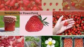 Presentation with photo collage - Presentation theme consisting of collage-of-fresh-organic-strawberries background and a red colored foreground