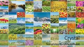  Presentation with man in nature - Slide deck with collage of many nature photos background and a yellow colored foreground