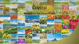  Presentation with nature - PPT theme with collage of many nature photos background and a yellow colored foreground