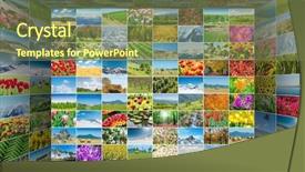  Presentation with nature - Presentation design enhanced with collage of many nature photos background and a tawny brown colored foreground