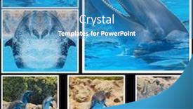  Presentation with show - Presentation theme enhanced with collage-of-many-photos background and a teal colored foreground