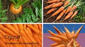  Presentation with carrots - Slide set featuring collage of organic carrots background and a gold colored foreground