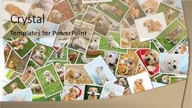  Presentation with photo collage for company behind the scen - Beautiful slide set featuring collage of photos of golden backdrop and a coral colored foreground