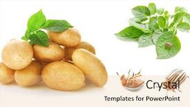  Presentation with potato - Cool new theme with collage of raw potatoes backdrop and a lemonade colored foreground