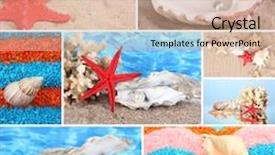  Presentation with climate - PPT layouts enhanced with collage of summer seashells background and a soft green colored foreground