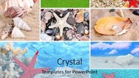  Presentation with climate - Slide set consisting of collage of summer seashells background and a light blue colored foreground