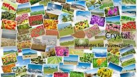  Presentation with photo collage for company behind the scen - Colorful presentation theme enhanced with collage of various nature photos backdrop and a  colored foreground