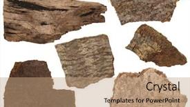  Presentation with parts - PPT theme with collage set of dried bark background and a coral colored foreground