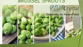  Presentation with brussel - Theme having collage-with-brussel-sprouts background and a mint green colored foreground