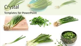  Presentation with onion - Audience pleasing PPT layouts consisting of collage with green onion backdrop and a soft green colored foreground