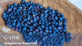  Presentation with berries - Slide set having collecting-healthy-berries-of-juniper background and a ocean colored foreground
