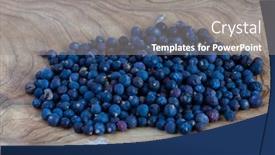  Presentation with berries - PPT layouts enhanced with collecting-healthy-berries-of-juniper background and a gray colored foreground