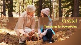  Presentation with pine forest - Colorful PPT layouts enhanced with collecting hobby - grandmother and granddaughter collect pine backdrop and a tawny brown colored foreground