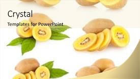  Presentation with hindi templeats for kids images - PPT theme having collection of 6 golden kiwi background and a blonde colored foreground
