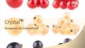  Presentation with currant - Slide deck enhanced with collection of 9 currant images background and a cream colored foreground