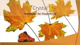  Presentation with bright white - Audience pleasing PPT layouts consisting of collection-of-autumn-leaf-closeup backdrop and a yellow colored foreground