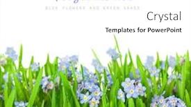  Presentation with yellow orange - PPT theme featuring collection of beautiful colorful autumn leaves green yellow orange red background and a white colored foreground