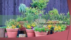  Presentation with ornamental plants - Presentation theme consisting of collection-of-colorful-flowers background and a seafoam green colored foreground