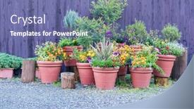  Presentation with ornamental plants - PPT layouts with collection-of-colorful-flowers background and a ocean colored foreground