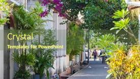  Presentation with ornamental plants - Presentation theme with collection-of-colorful-flowers background and a tawny brown colored foreground