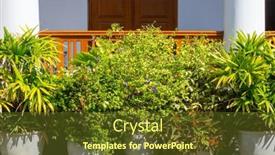  Presentation with ornamental plants - Presentation theme with collection-of-colorful-flowers background and a  colored foreground