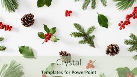  Presentation with christmas holly - Theme consisting of collection-of-decorative-christmas-plants background and a mint green colored foreground
