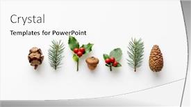  Presentation with plants - Slide set enhanced with collection-of-decorative-christmas-plants and a white colored foreground