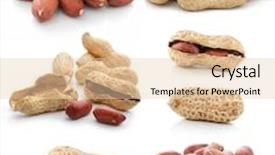  Presentation with peanut - Slides with collection of dried peanut fruits isolated on white background background and a lemonade colored foreground