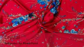  Presentation with tailor store - 