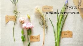  Presentation with textile - PPT theme enhanced with collection-of-flowers-on-textile background and a soft green colored foreground