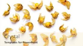  Presentation with golden berry - Slides enhanced with collection-of-golden-berry-fruits background and a blonde colored foreground